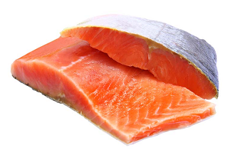 Chum Salmon (Oncorhynchus keta)
