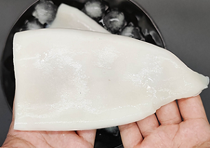 Frozen Giant Squid Tube